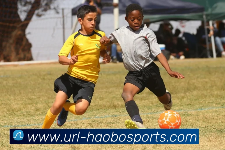 App Interface Preview